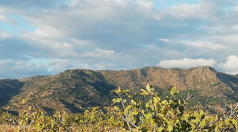 Cáceres - Arroyomolinos - 22000m2