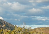 Land suitable for development for sale on Camino de las Tapias, Arroyomolinos, ref: TR111598 photo