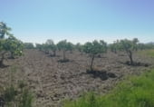 Non-developable land for sale on Camino de la Jarilla, Arroyomolinos, ref: TR111597 photo