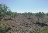 Non-developable land for sale on Camino de la Jarilla, Arroyomolinos, ref: TR111597 photo