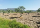 Non-developable land for sale on Camino de la Jarilla, Arroyomolinos, ref: TR111597 photo