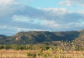 Non-developable land for sale on Camino de la Jarilla, Arroyomolinos, ref: TR111597 photo