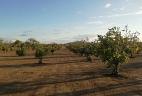 Foto 9