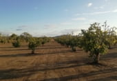 Non-developable land for sale on Camino de la Jarilla, Arroyomolinos, ref: TR111597 photo