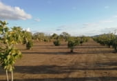 Non-developable land for sale on Camino de la Jarilla, Arroyomolinos, ref: TR111597 photo