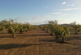 Foto 11