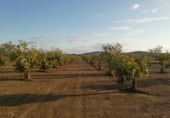 Non-developable land for sale on Camino de la Jarilla, Arroyomolinos, ref: TR111597 photo