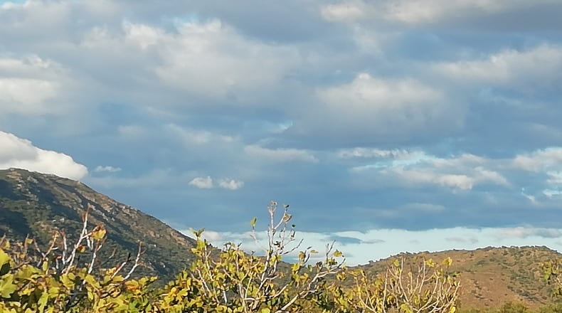 Cáceres - Arroyomolinos - 10000m2