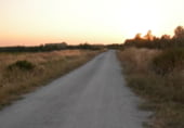 Земля на продажу у города Arahal Фото