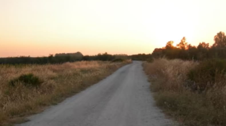 Sevilla - Arahal - 13208m2