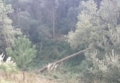 Sòl urbà en venda a la Carrer Dàlies, Lloret de Mar, ref.: TR111680 foto