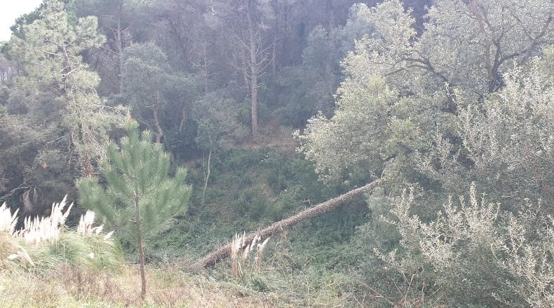 Gerona - Lloret de Mar - 800m2