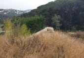 Sòl urbà en venda a la Carrer Dàlies, Lloret de Mar, ref.: TR111680 foto