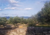 Finca rústica en venda a la Carrer de Romèlia, Tivenys, ref.: TR111687 foto