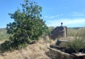Finca rústica en venda a la Carretera de Maials, Riba-roja d'Ebre, ref.: TR111688 foto