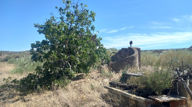 Tarragona - Ribarroja de Ebro - 3300m2