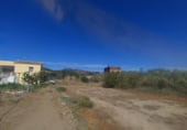 Finca rústica en venda a la Carretera de Maials, Riba-roja d'Ebre, ref.: TR111688 foto