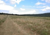 Non-developable land for sale on Camino de Aldeanueva de la Sierra, Tamames, ref: TR111763 photo