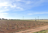 Terreno con Almacén en venta en la CM-3102, Las Mesas, ref: TR111686 foto
