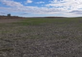 Non-developable land for sale on M-238 Crta. de Estremera a Zarza del Tajo, Estremera, ref: TR111691 photo