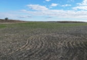 Non-developable land for sale on M-238 Crta. de Estremera a Zarza del Tajo, Estremera, ref: TR111691 photo