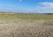 Non-developable land for sale on M-238 Crta. de Estremera a Zarza del Tajo, Estremera, ref: TR111691 photo