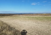 Non-developable land for sale on M-238 Crta. de Estremera a Zarza del Tajo, Estremera, ref: TR111691 photo