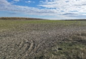Non-developable land for sale on M-238 Crta. de Estremera a Zarza del Tajo, Estremera, ref: TR111691 photo