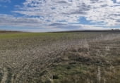 Non-developable land for sale on M-238 Crta. de Estremera a Zarza del Tajo, Estremera, ref: TR111691 photo