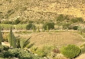 Casa de camp amb terreny en venda a la Cueva Sucia, Turre, ref.: TR111698 foto