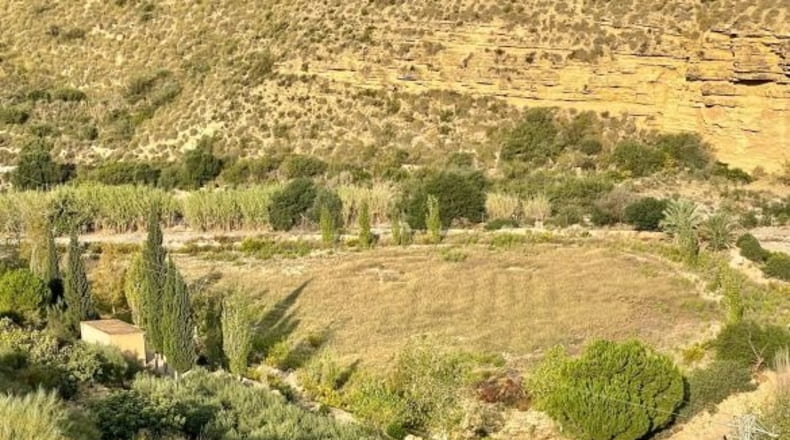 Almería - Turre - 259000m2