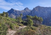 Land with storage building for sale on Polígono 5, Callosa d'en Sarrià, ref: TR111752 photo