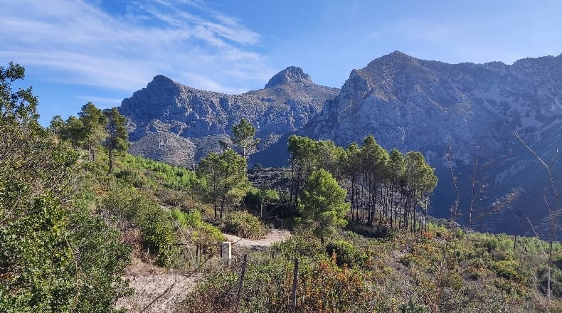 Alicante - Callosa de Ensarriá - 10790m2