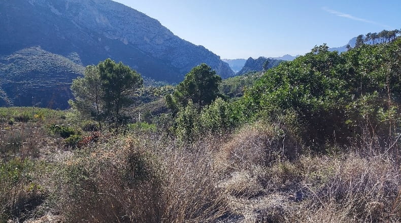 Alicante - Callosa de Ensarriá - 10790m2