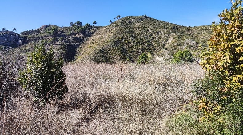 Alicante - Callosa de Ensarriá - 10790m2