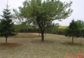 Parcel·la urbanitzable en venda a la Camino Valdetorres, Fuente el Saz de Jarama, ref.: TR111747 foto