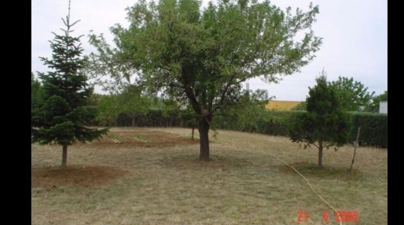 Comunidad de Madrid - Fuente el Saz de Jarama - 1150m2