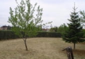 Parcel·la urbanitzable en venda a la Camino Valdetorres, Fuente el Saz de Jarama, ref.: TR111747 foto