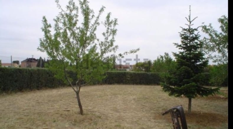 Comunidad de Madrid - Fuente el Saz de Jarama - 1150m2