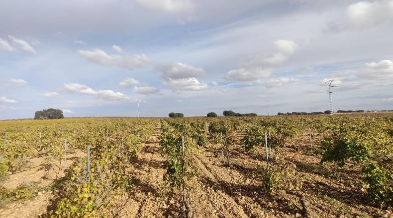 Cuenca - Las Mesas - 28442m2