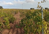 Terreno con Almacén en venta en la CM-3102, Las Mesas, ref: TR111686 foto