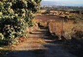 Non-developable land for sale on Carretera General del Sur, Güímar, ref: TR111776 photo