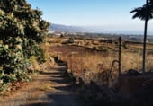 Non-developable land for sale on Carretera General del Sur, Güímar, ref: TR111776 photo