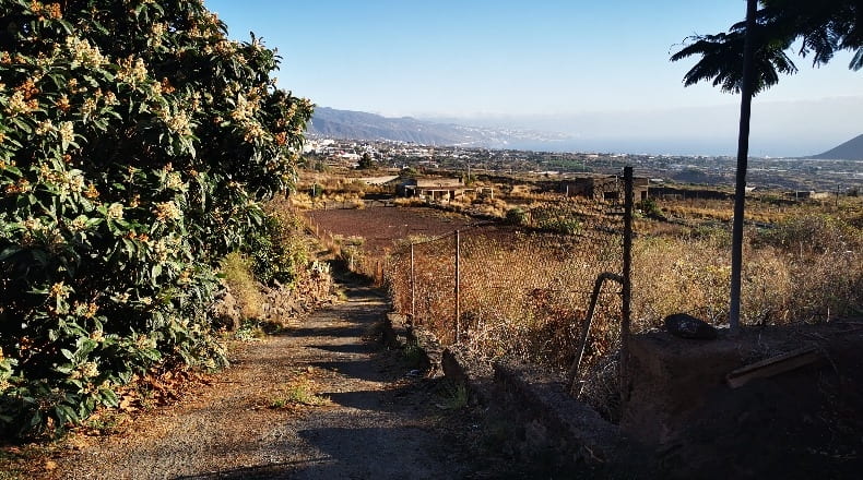 Santa Cruz de Tenerife - Güímar - 3300m2