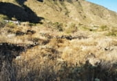 Non-developable land for sale on Carretera General del Sur, Güímar, ref: TR111776 photo