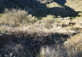 Non-developable land for sale on Carretera General del Sur, Güímar, ref: TR111776 photo