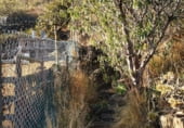 Non-developable land for sale on Carretera General del Sur, Güímar, ref: TR111776 photo