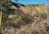 Non-developable land for sale on Carretera General del Sur, Güímar, ref: TR111776 photo