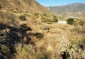 Non-developable land for sale on Carretera General del Sur, Güímar, ref: TR111776 photo