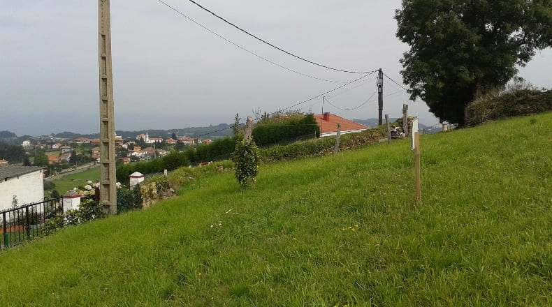 Asturias - Pravia - 2737m2